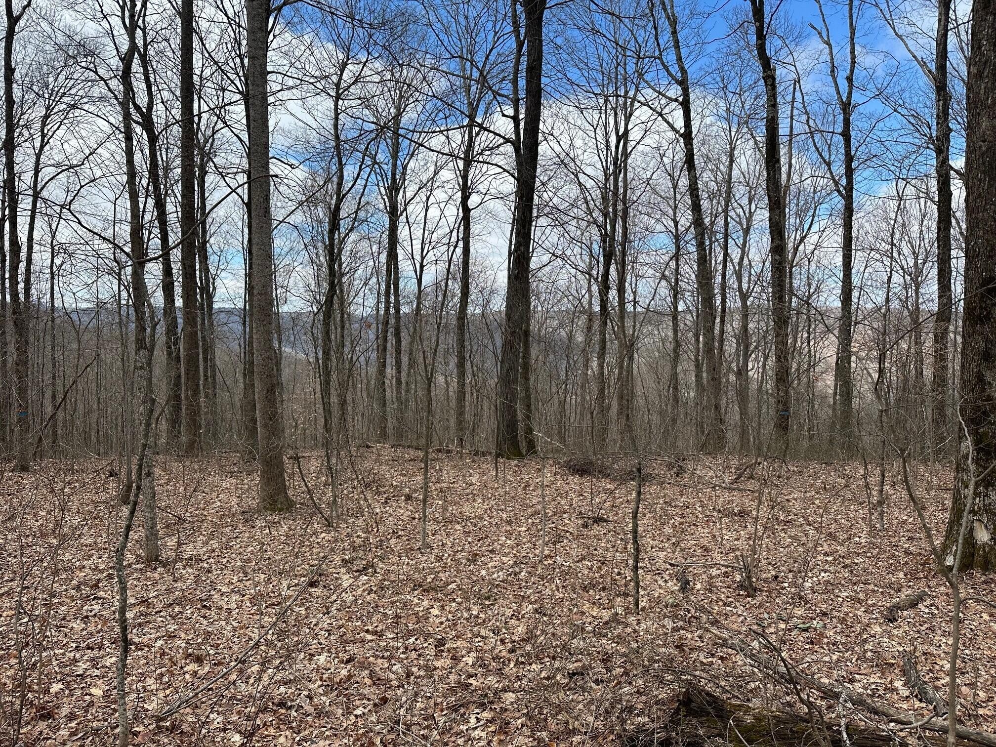 126 Northcutts Cove Road