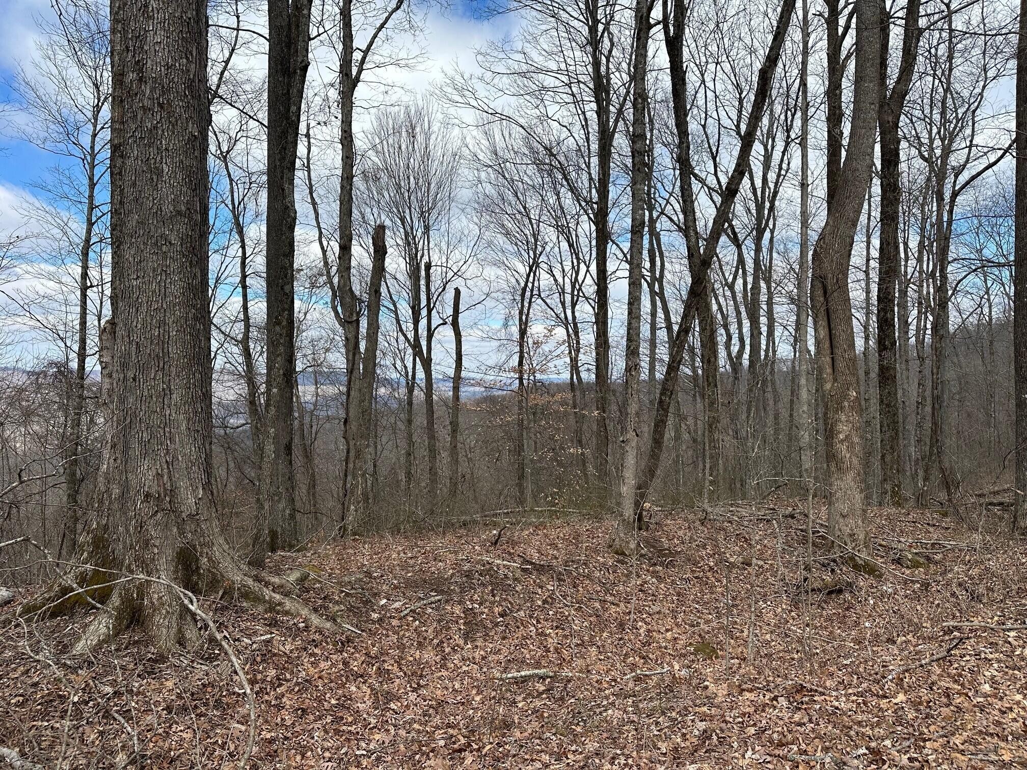 126 Northcutts Cove Road