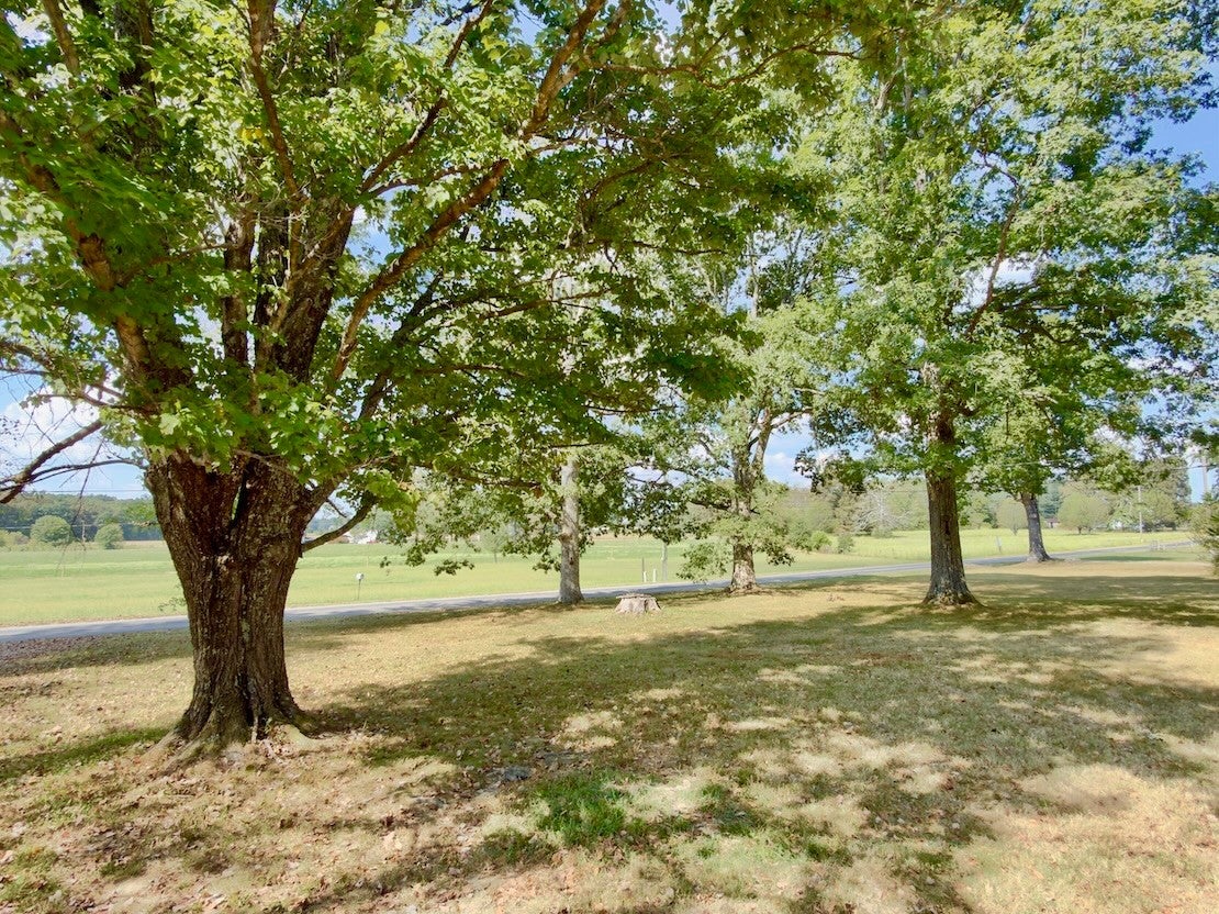 1138 Finnie Simmons Rd - Photo 3