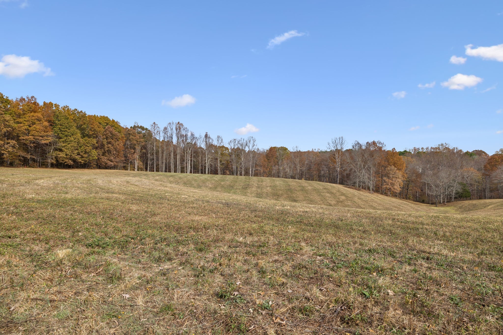 5515 Old Hwy 96