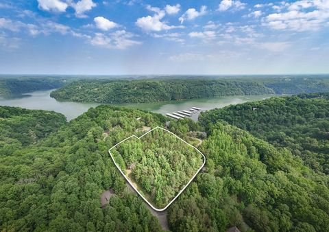 0 W Park Dr Smithville TN 37166