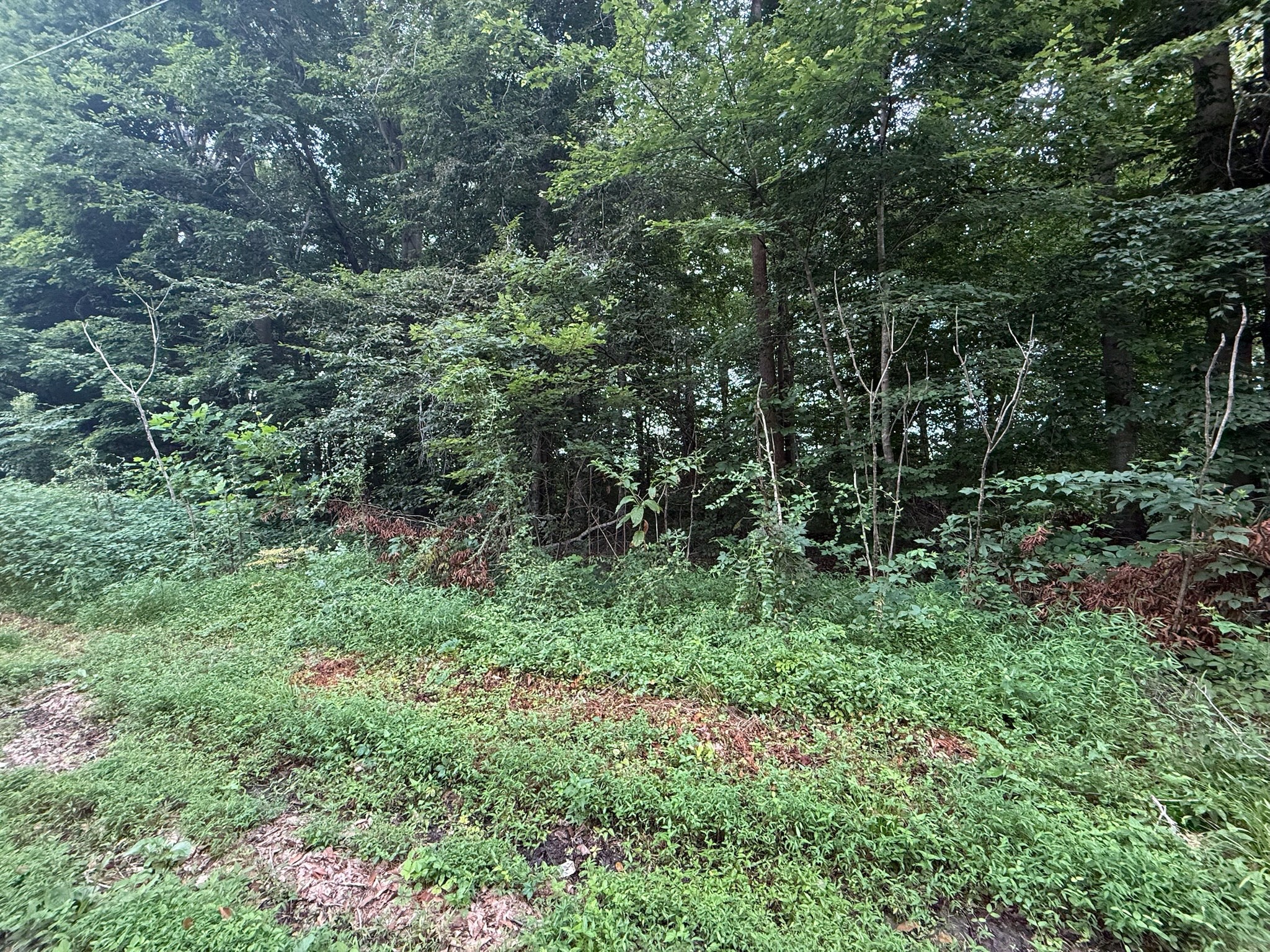 11 Pickett Ln