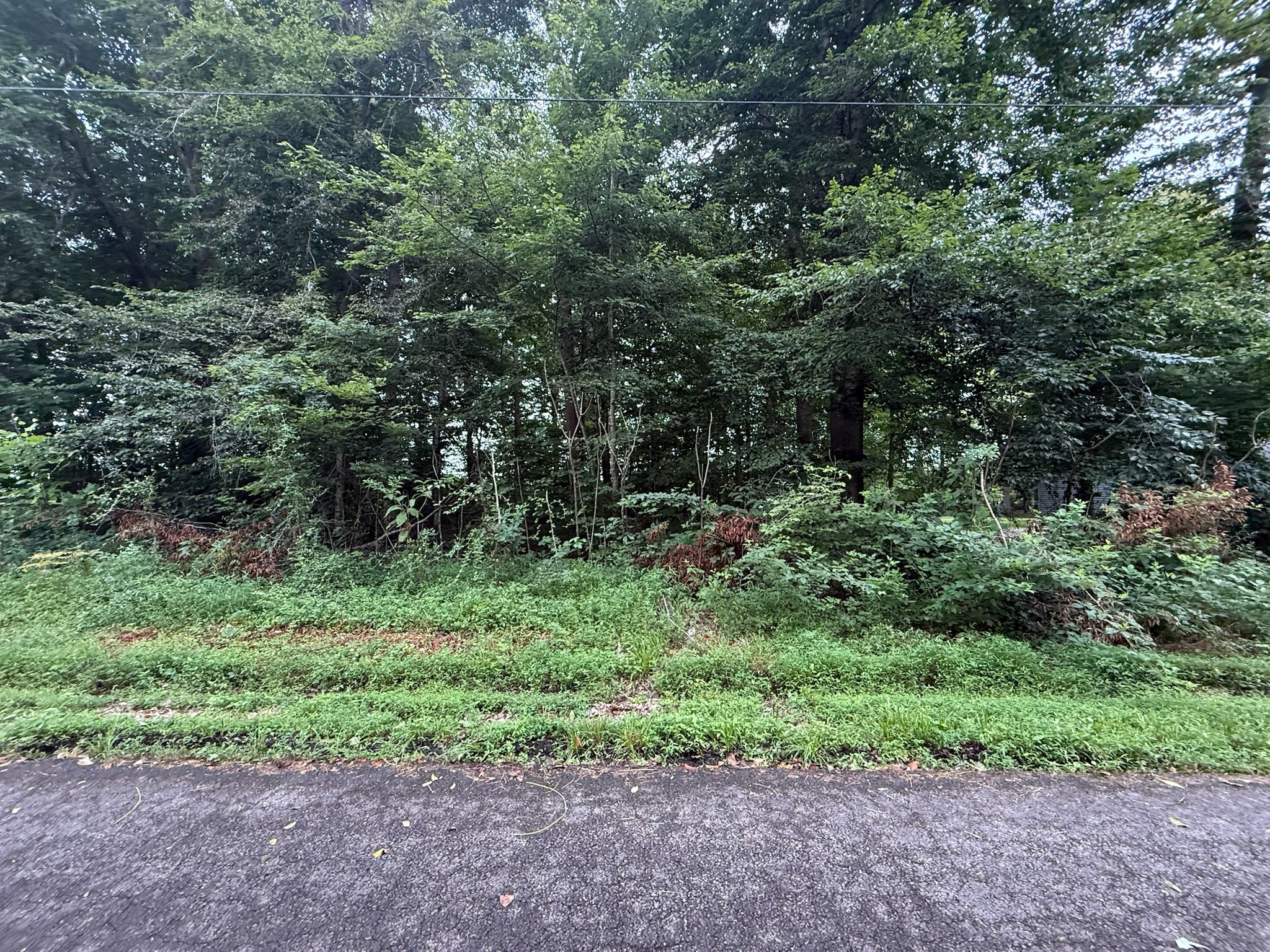 11 Pickett Ln