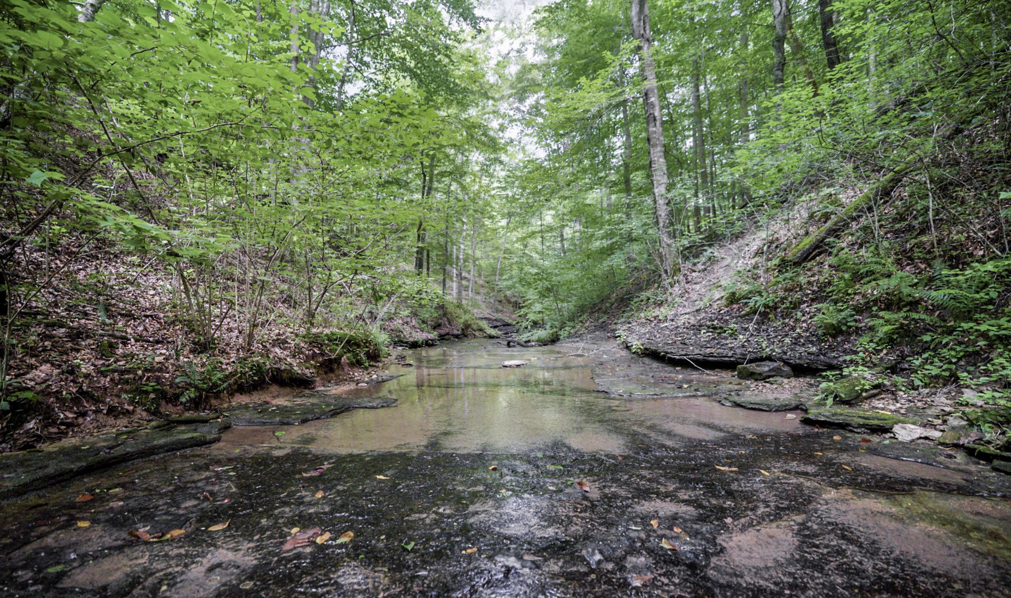 1005 Birdwell Rd