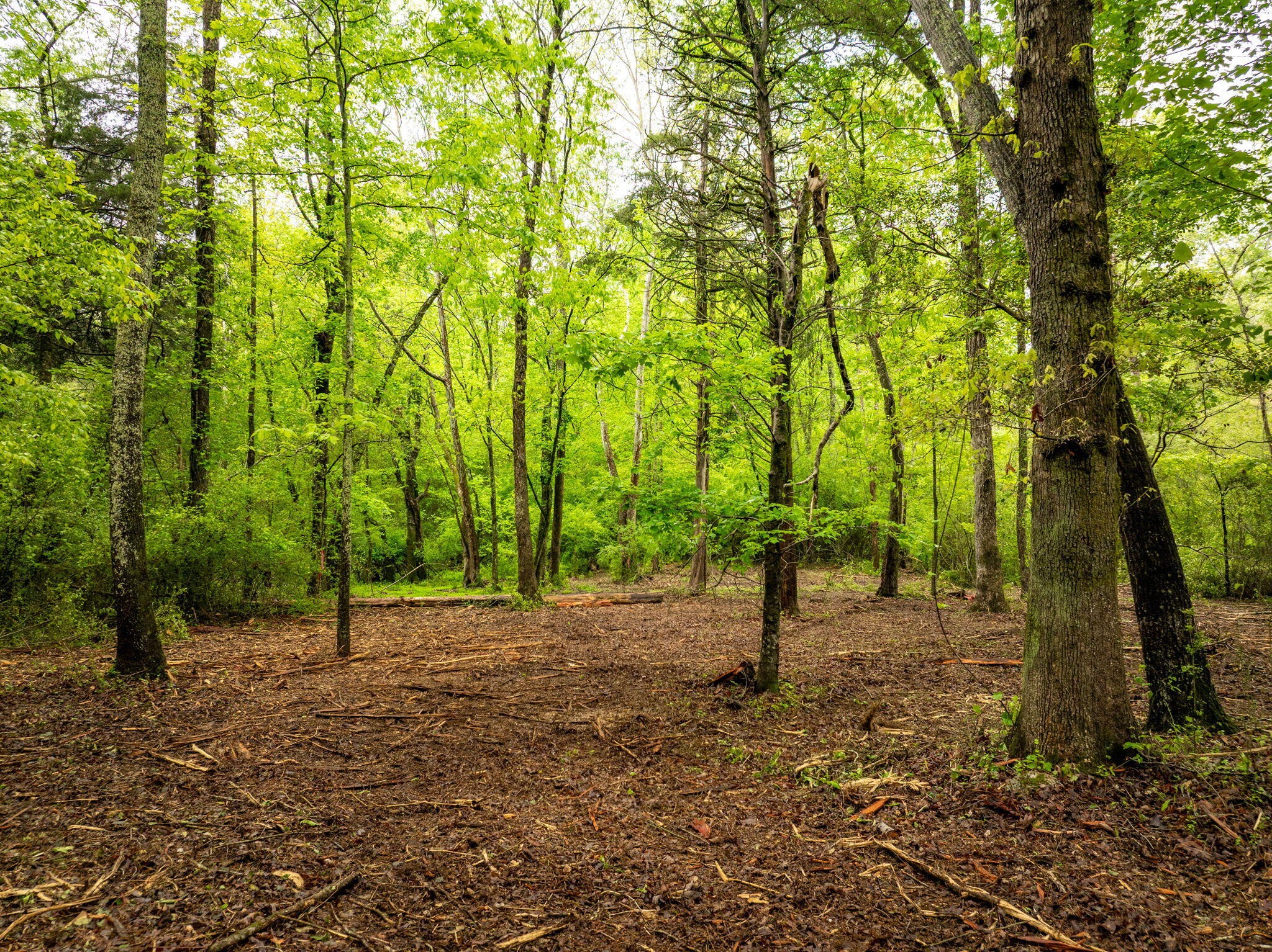 14009 Mt Annie Church Road