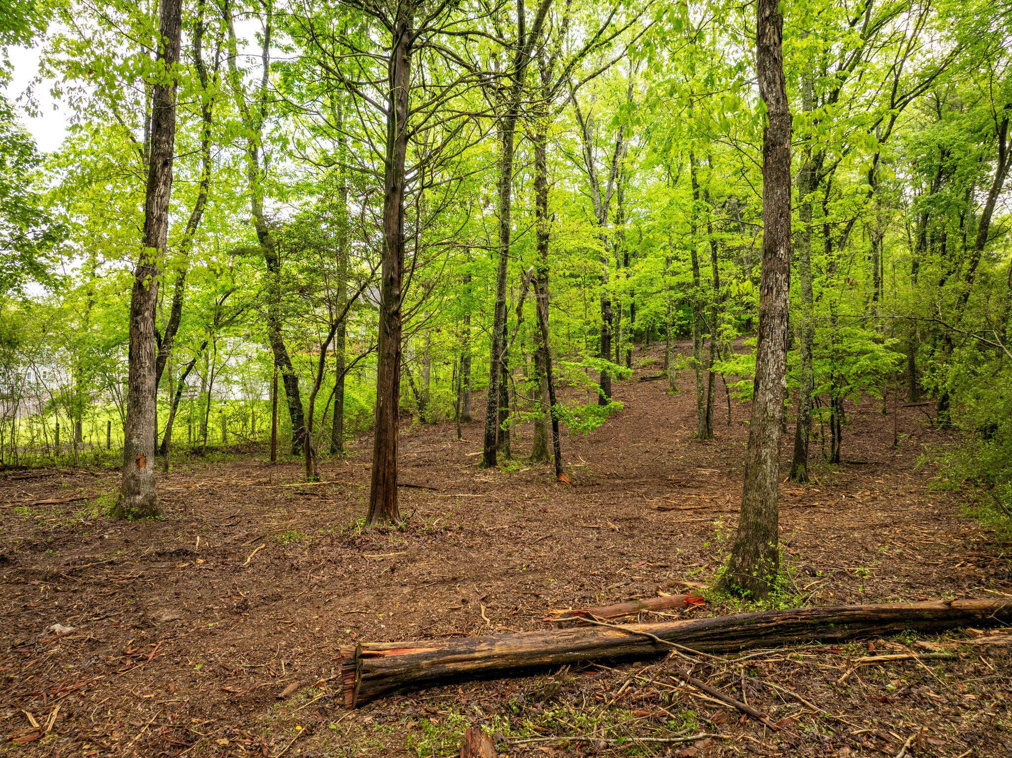 14009 Mt Annie Church Road