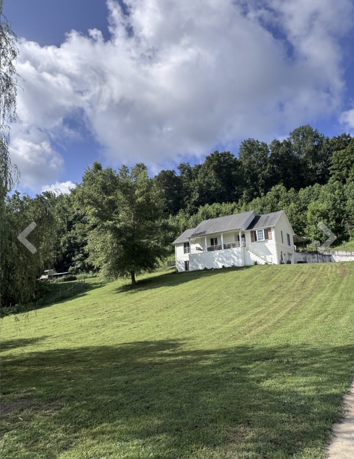 3310 Dog Branch Rd