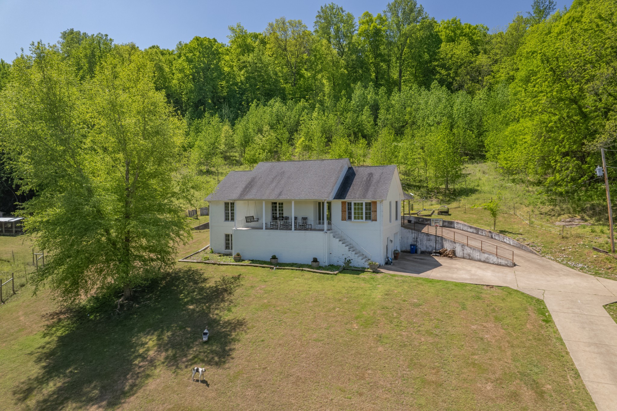 3310 Dog Branch Rd