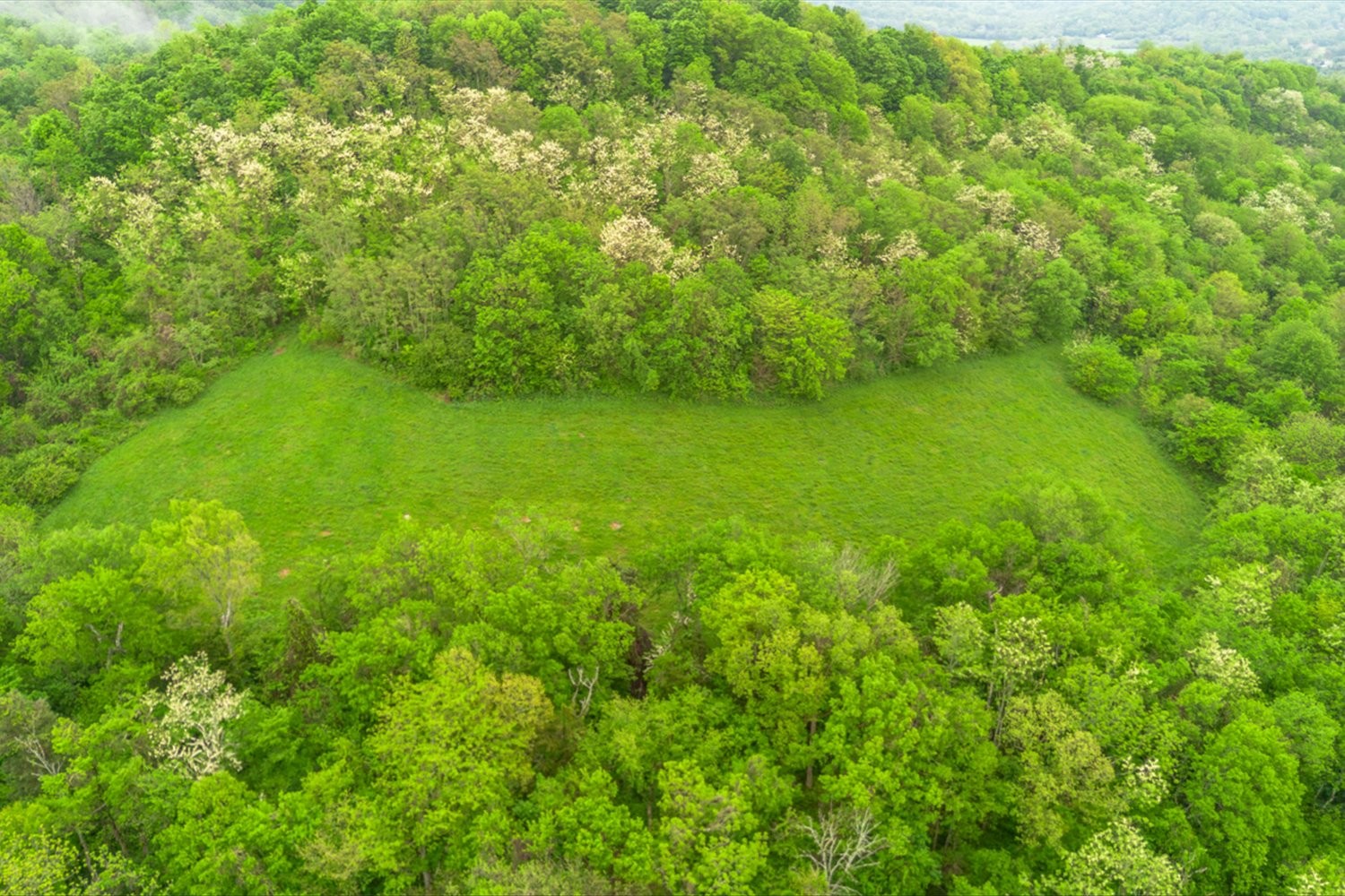 402 Cortner Hollow Rd