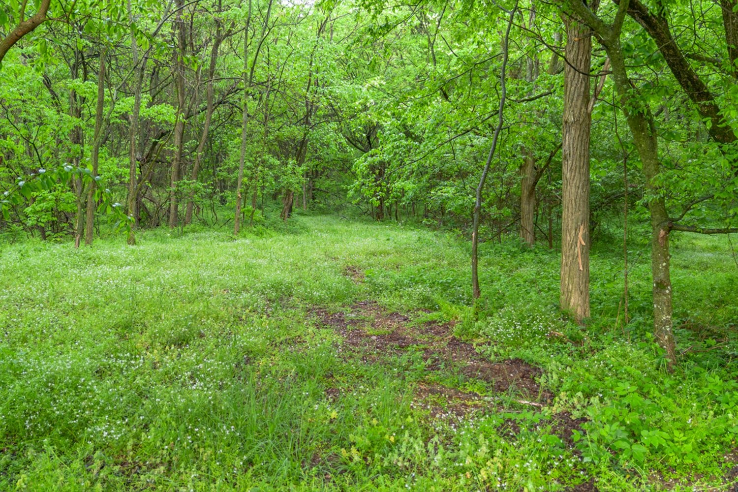 402 Cortner Hollow Rd