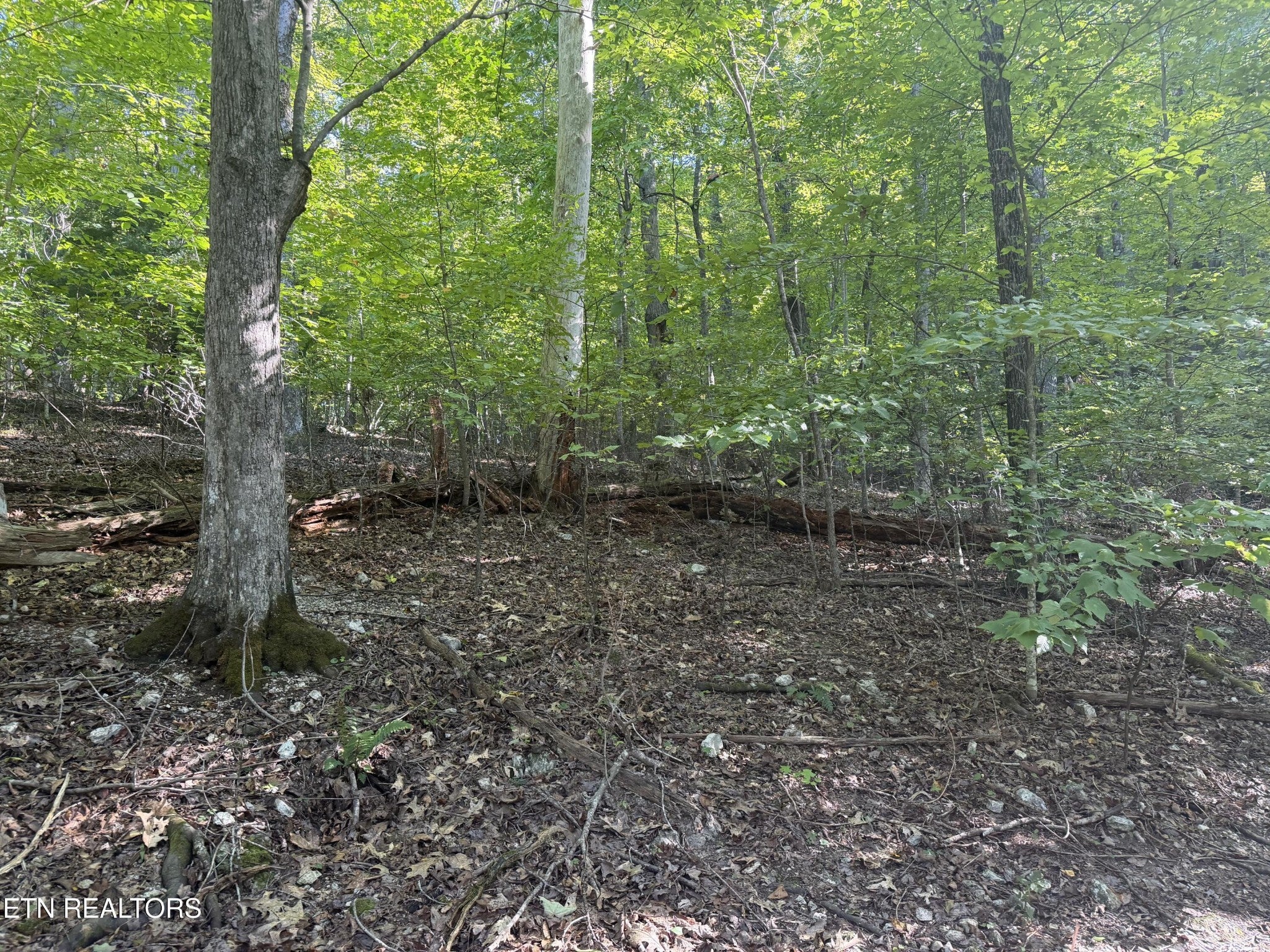 63 Cove Norris Rd