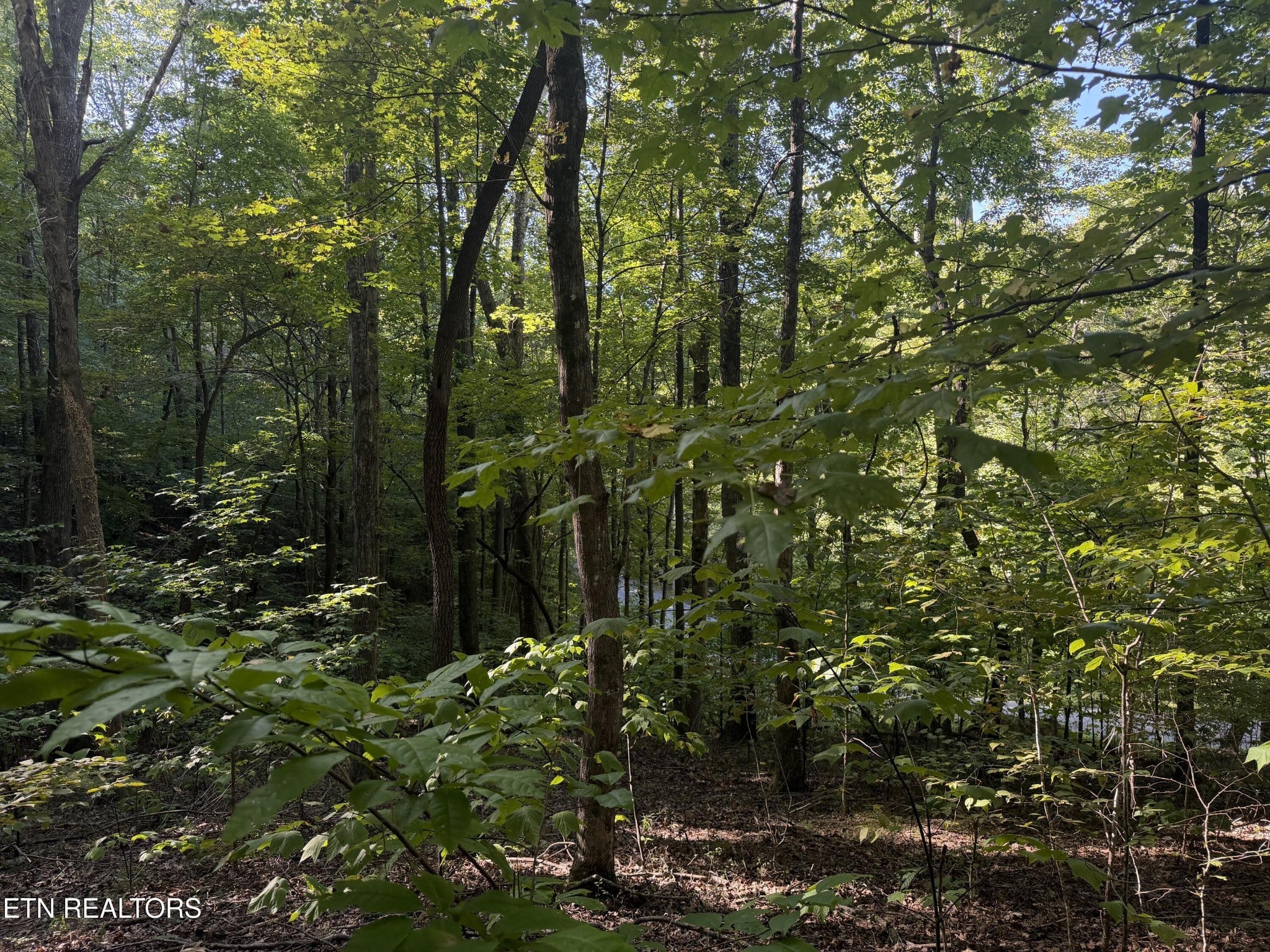 63 Cove Norris Rd