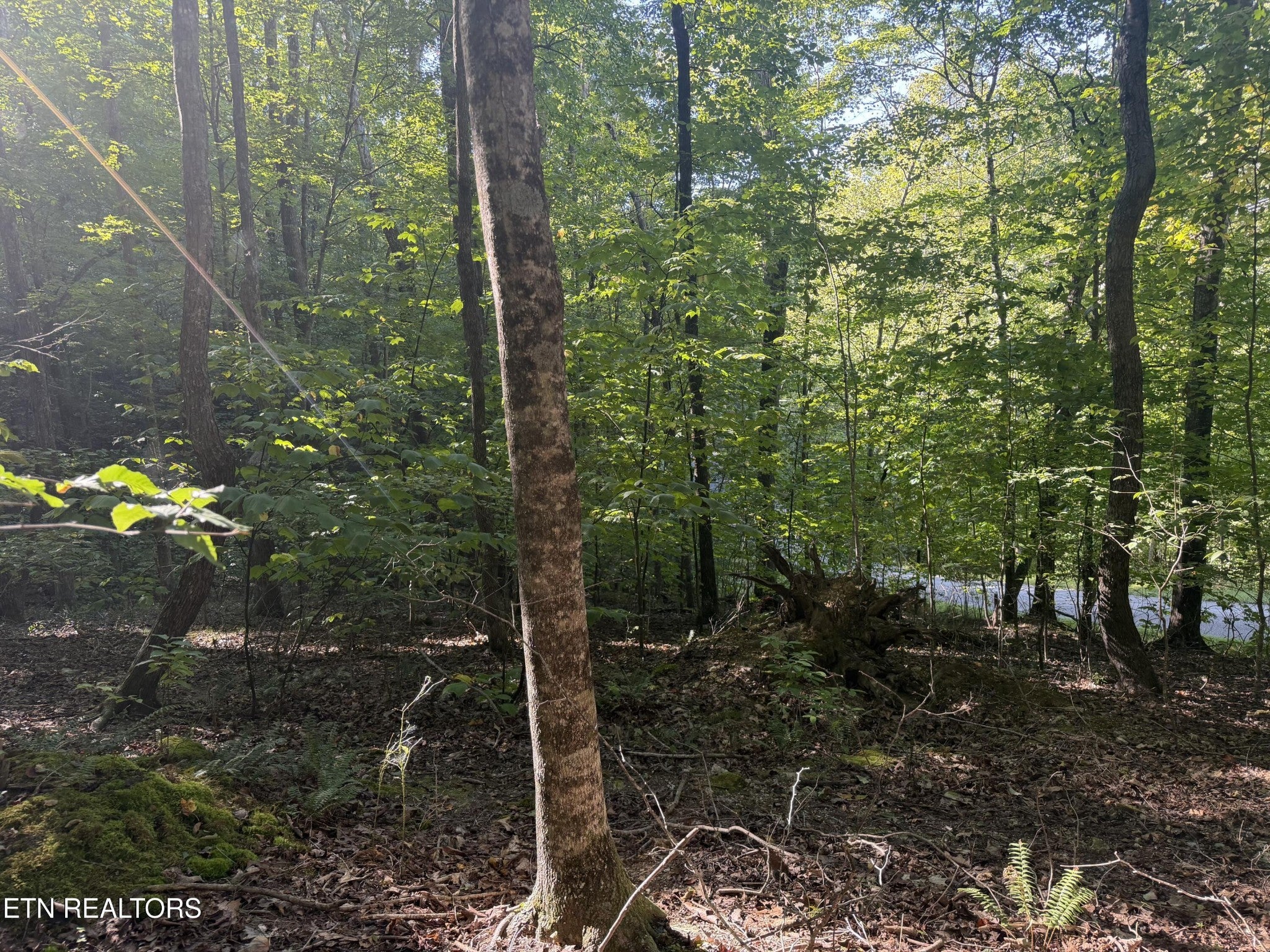 63 Cove Norris Rd