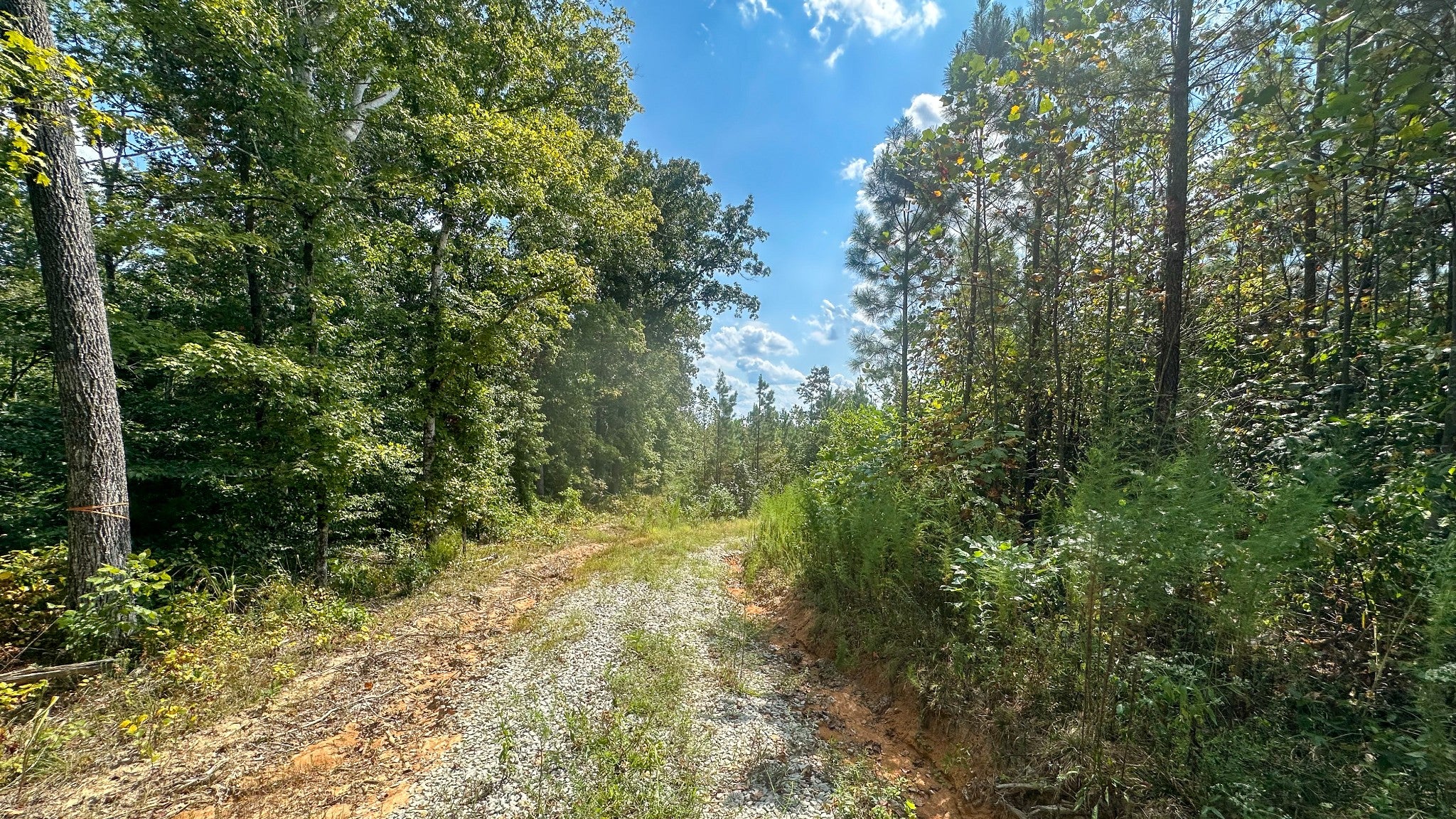 0 Jeannette Holladay Rd