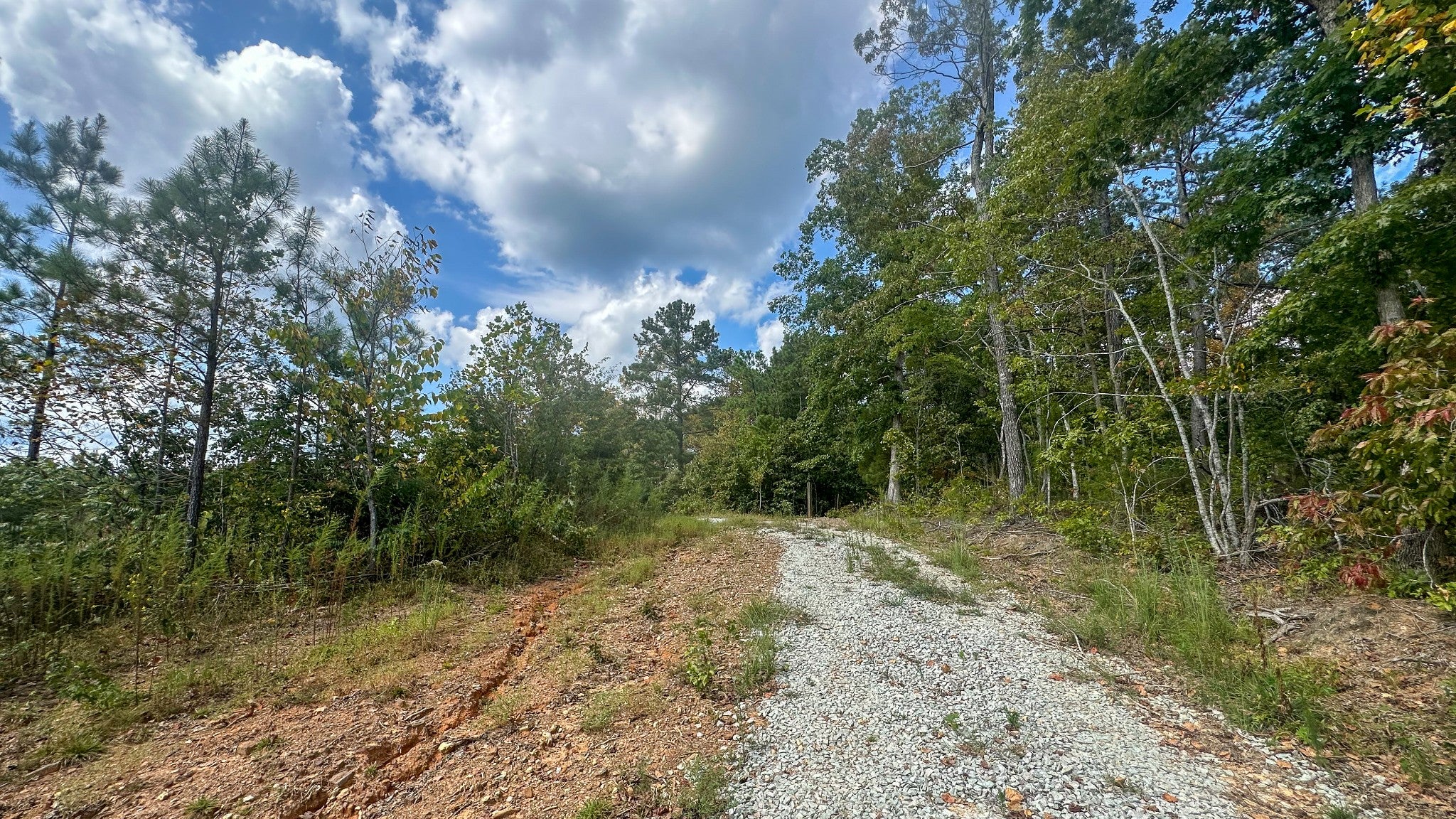 0 Jeannette Holladay Rd