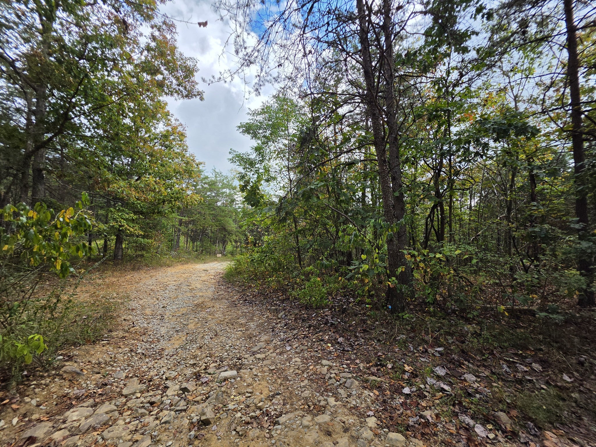 9 Myers Town Road
