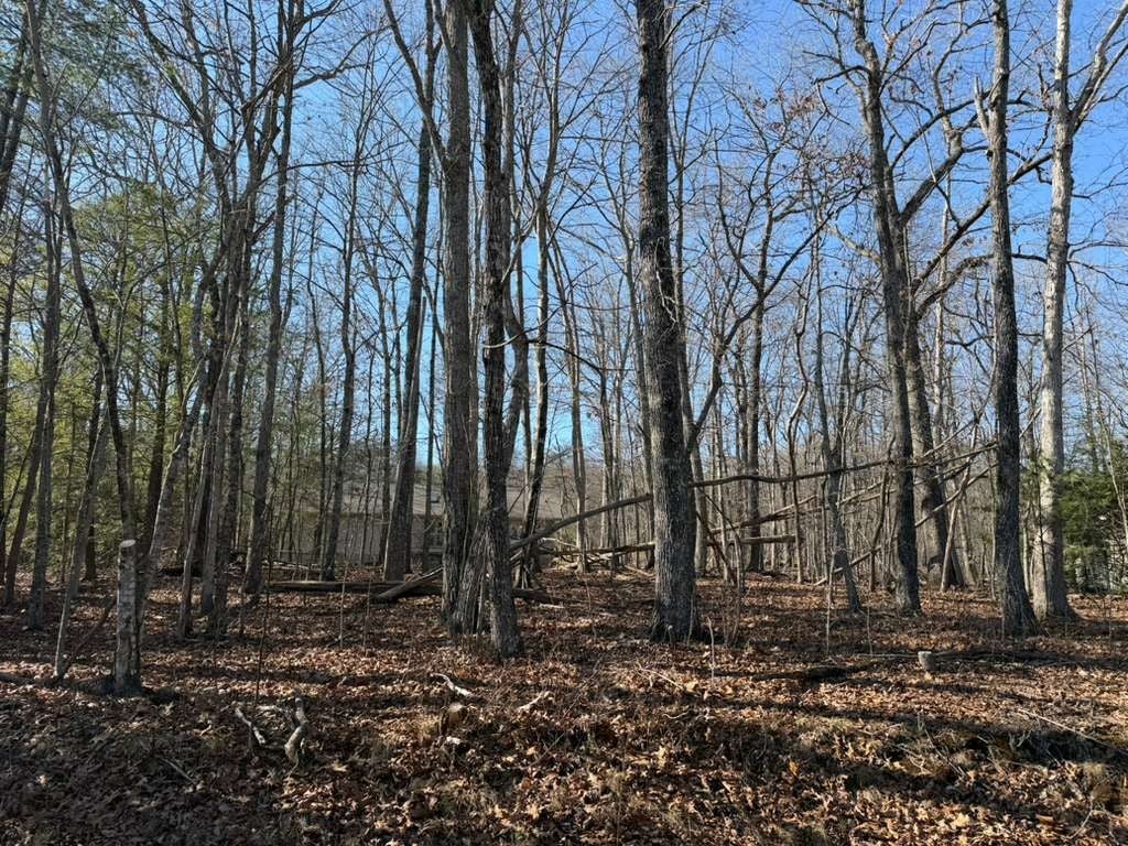 153 Sugarbush Cir