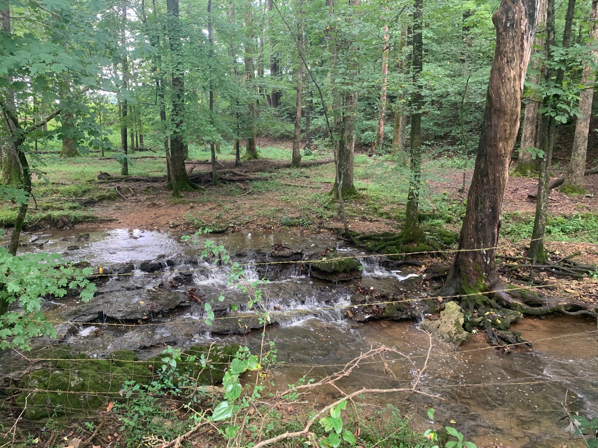 Middle Tennessee Properties 2 1790 Coon Hunt Rd