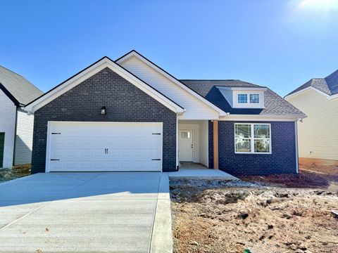 1143 Javier Dr Springfield TN 37172