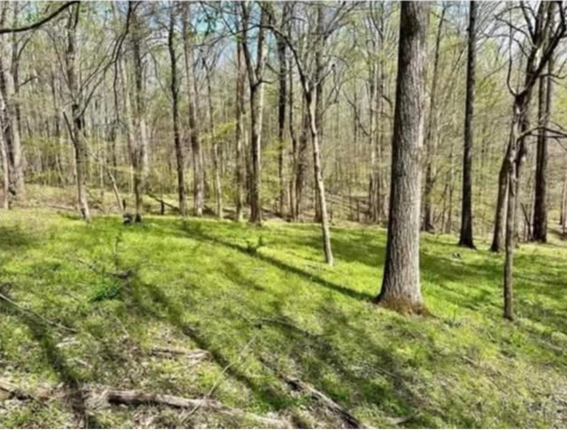 0 Allen Bend Road