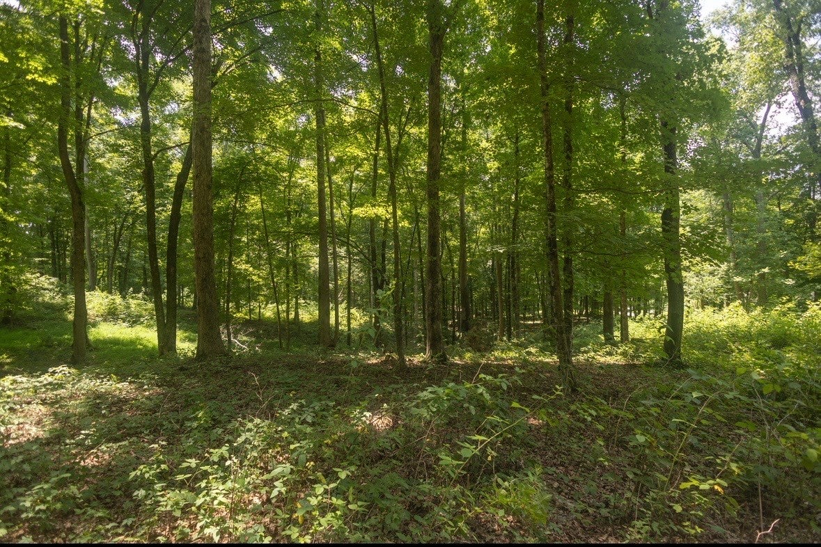 123 County Road 5