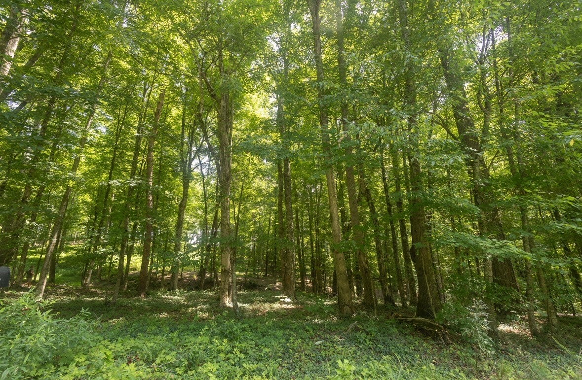 123 County Road 5