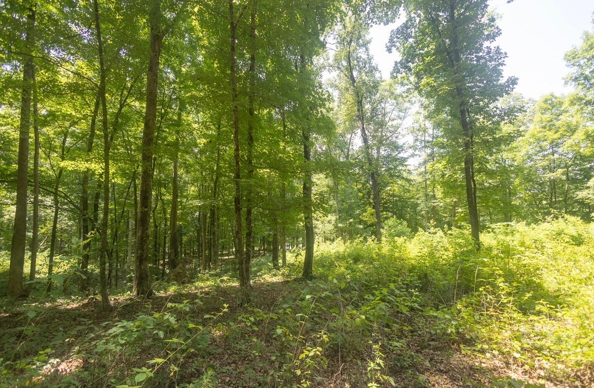 123 County Road 5