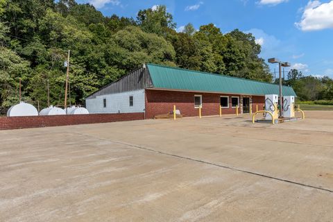 Photo of 1271 Highway 50 E, Centerville, TN 37033 (MLS # 3000461)