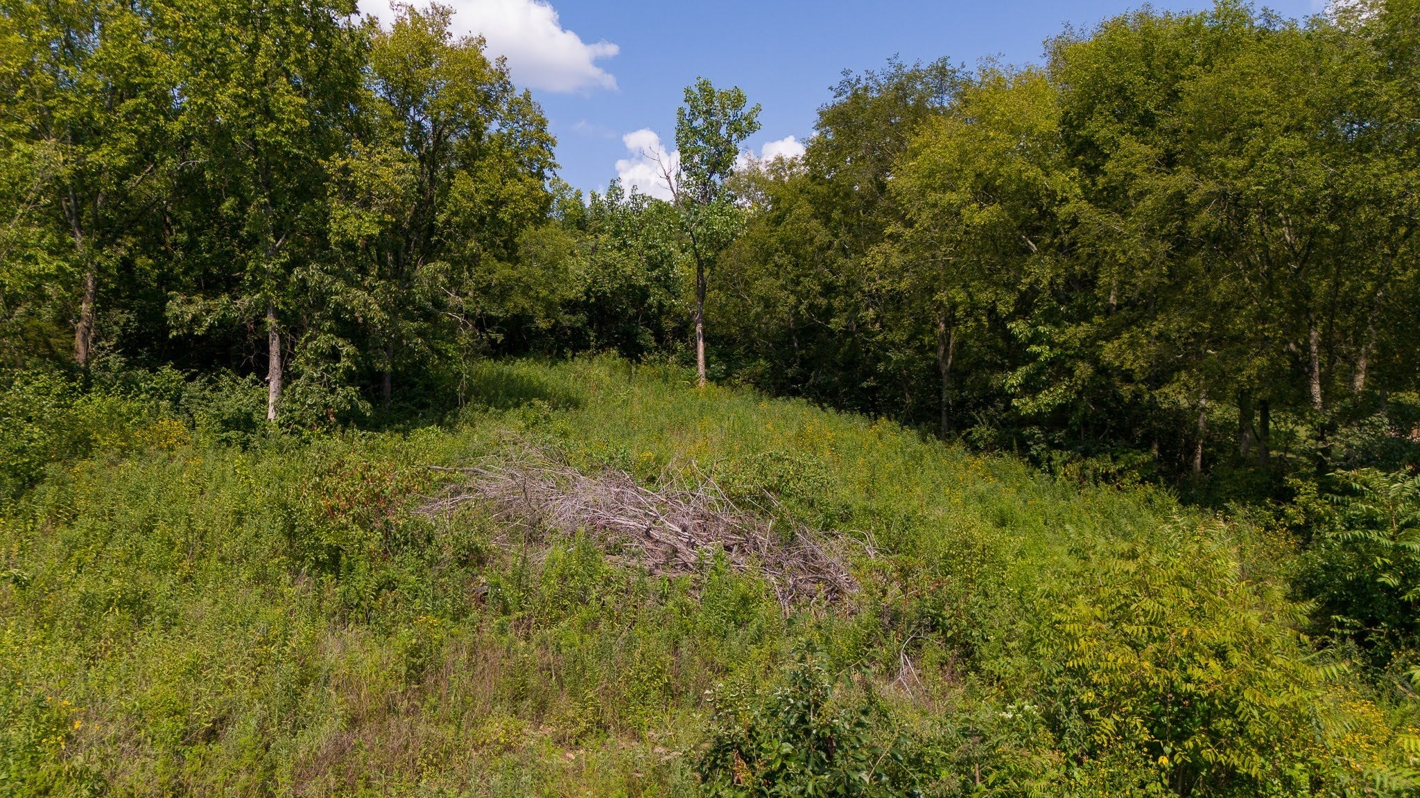 0-bed lot for sale in Nashville, TN 37207, 0 Monticello Drive 0 Monticello Drive, Nashville TN 37207 0-bed lot, photo 5 of 12