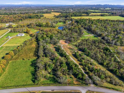 8919 Carlton Rd Christiana TN 37037