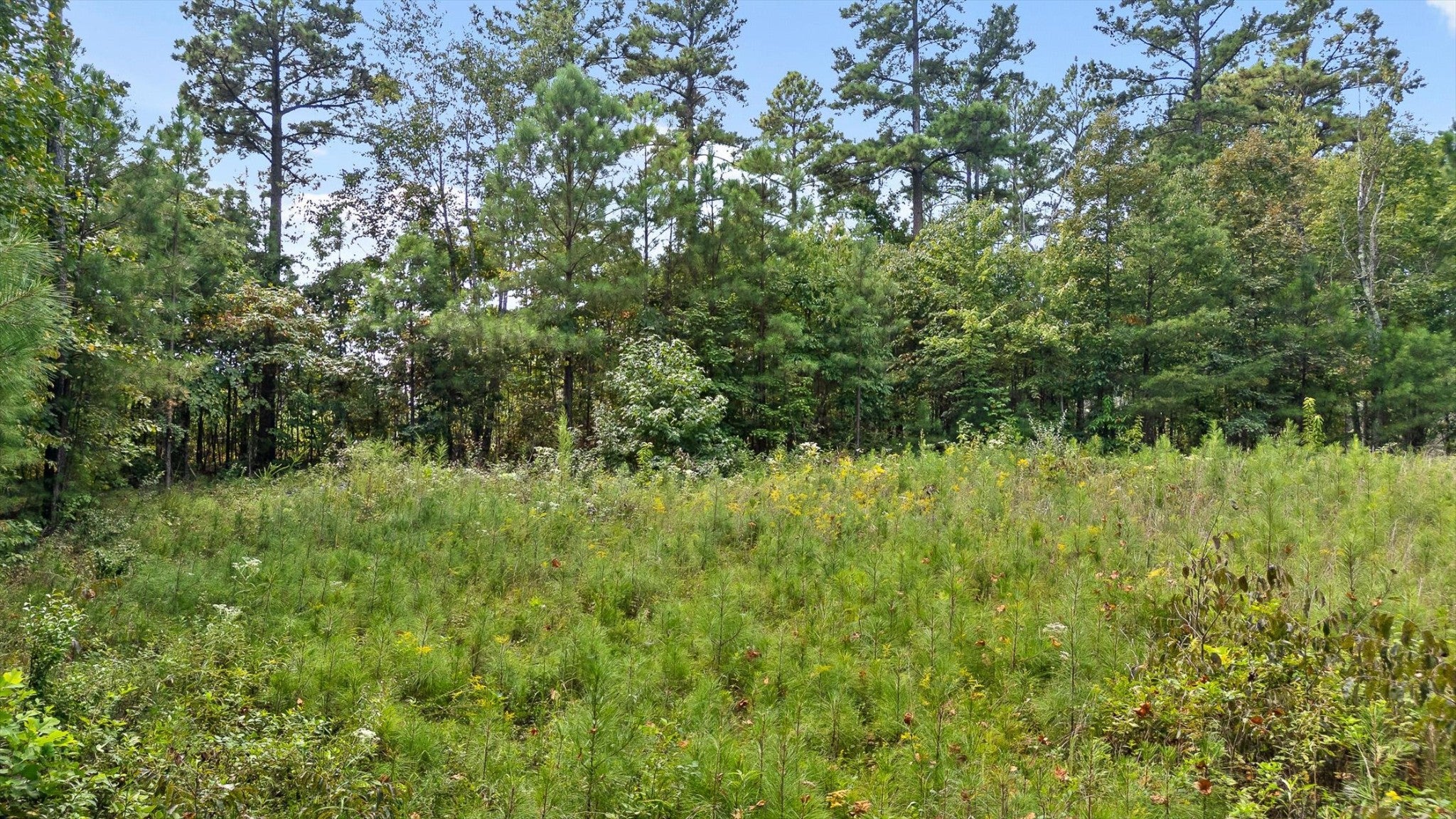 0 Big View Rd