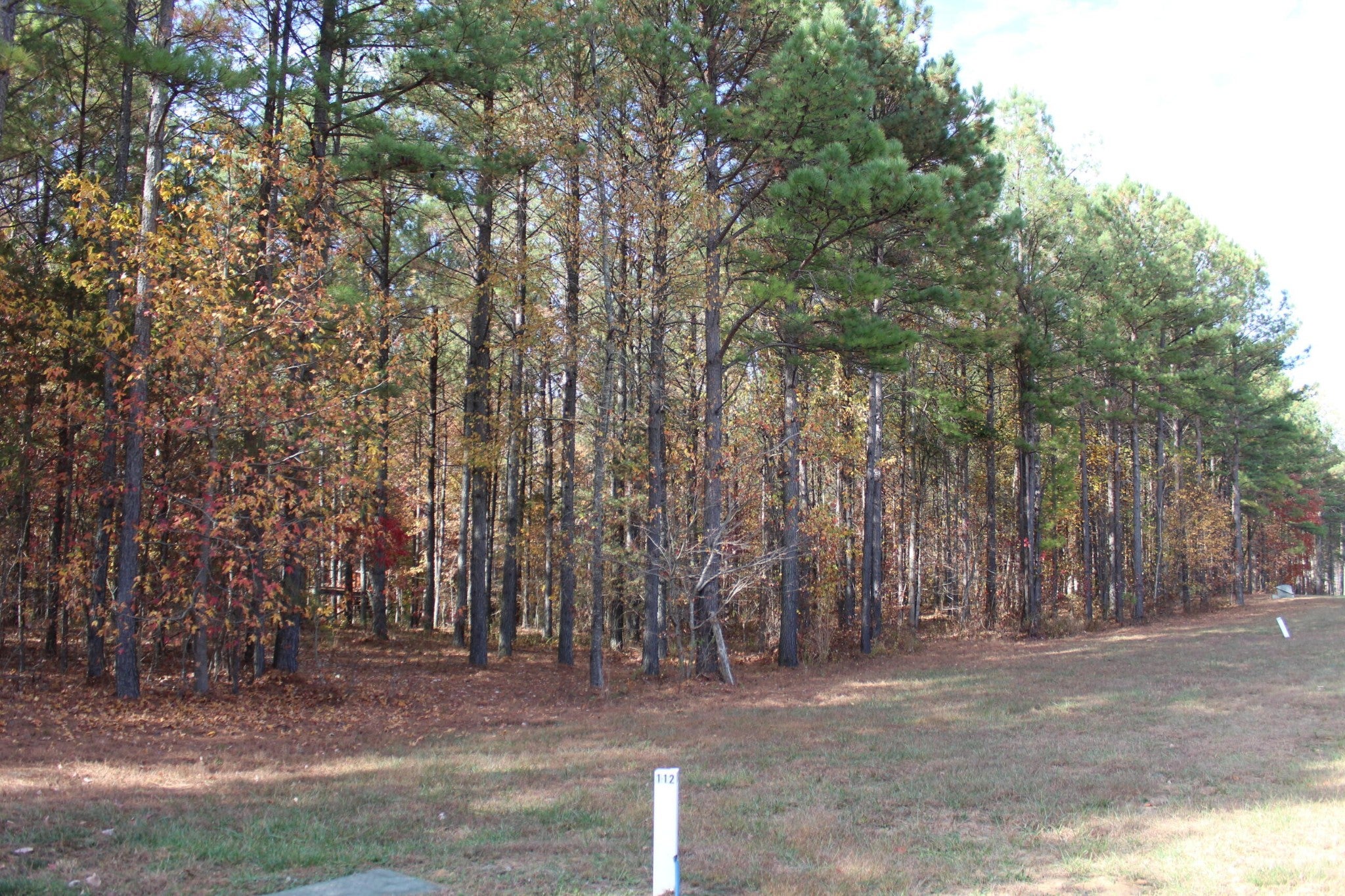 465 Compass Drive