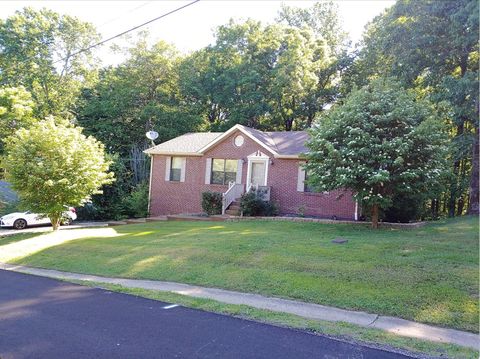 1010 Tyree Ct N White House TN 37188