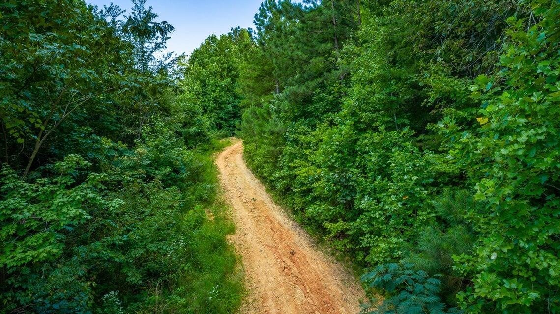 359 County Road 4