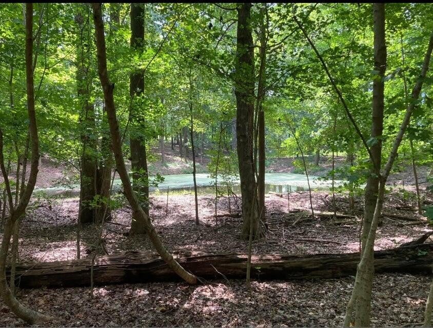 359 County Road 4