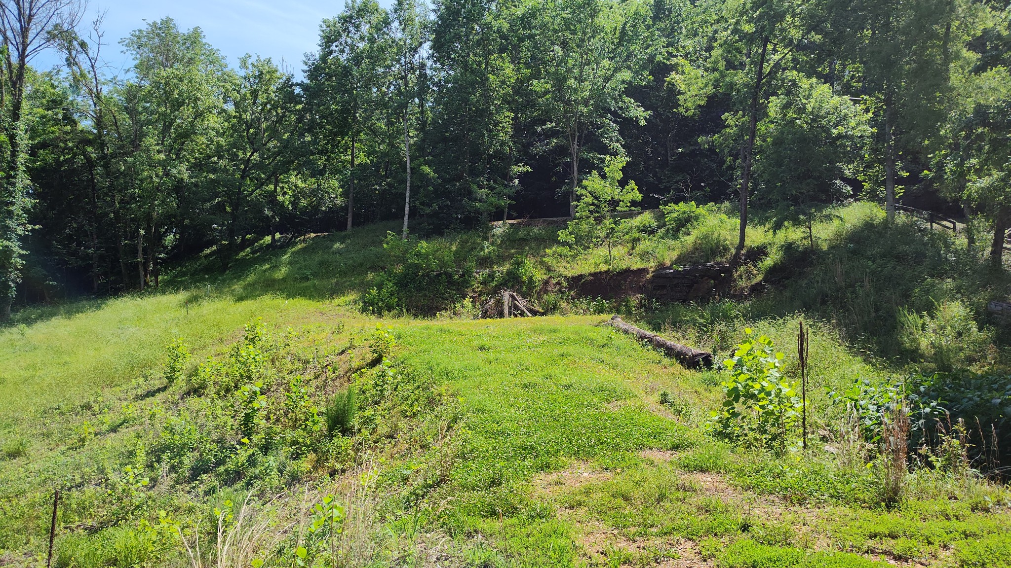 11 Bay Dr