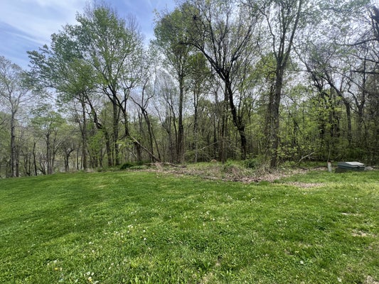 200 LAKE RIDGE RD, SCOTTSVILLE, KY 42164 - Image e87652b23de6d220e06b9db059cd4abd/3036358245
