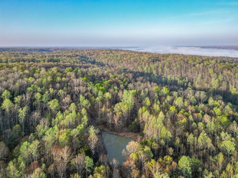 0 Pinewood Rd Nunnelly TN 37137