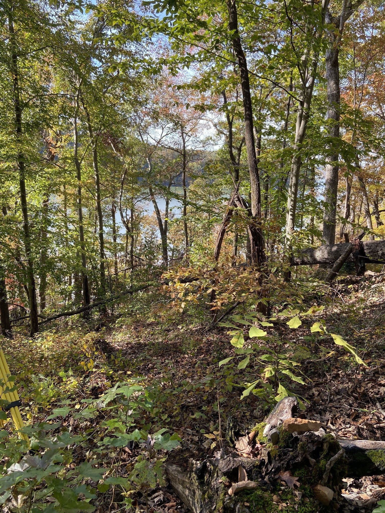 0 Hurricane Creek Road