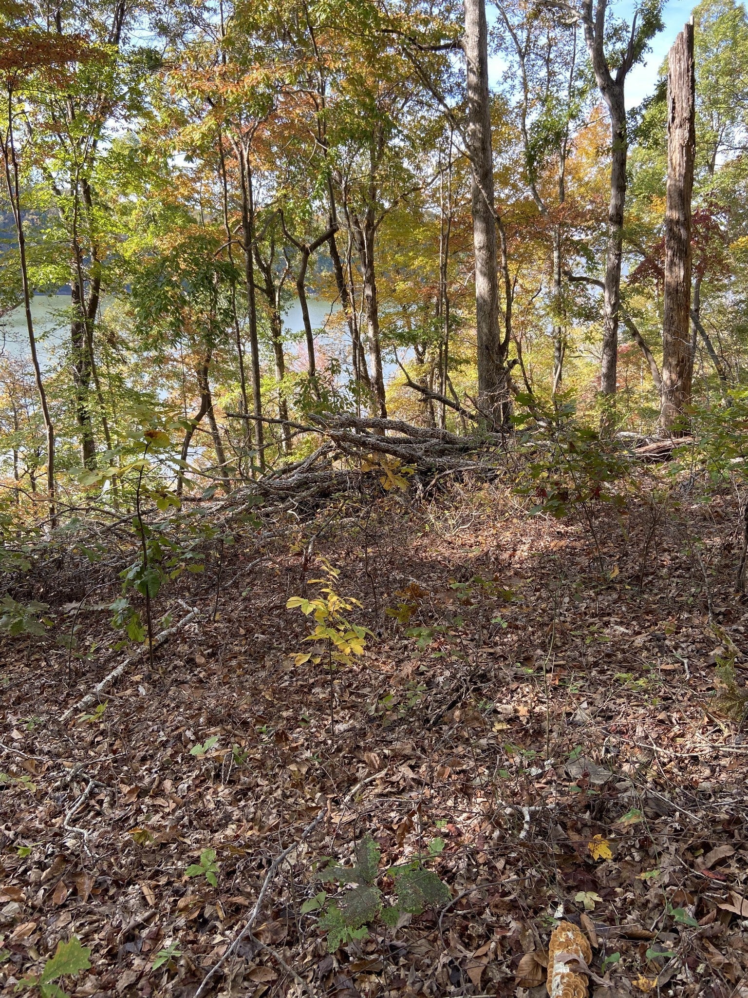 0 Hurricane Creek Road