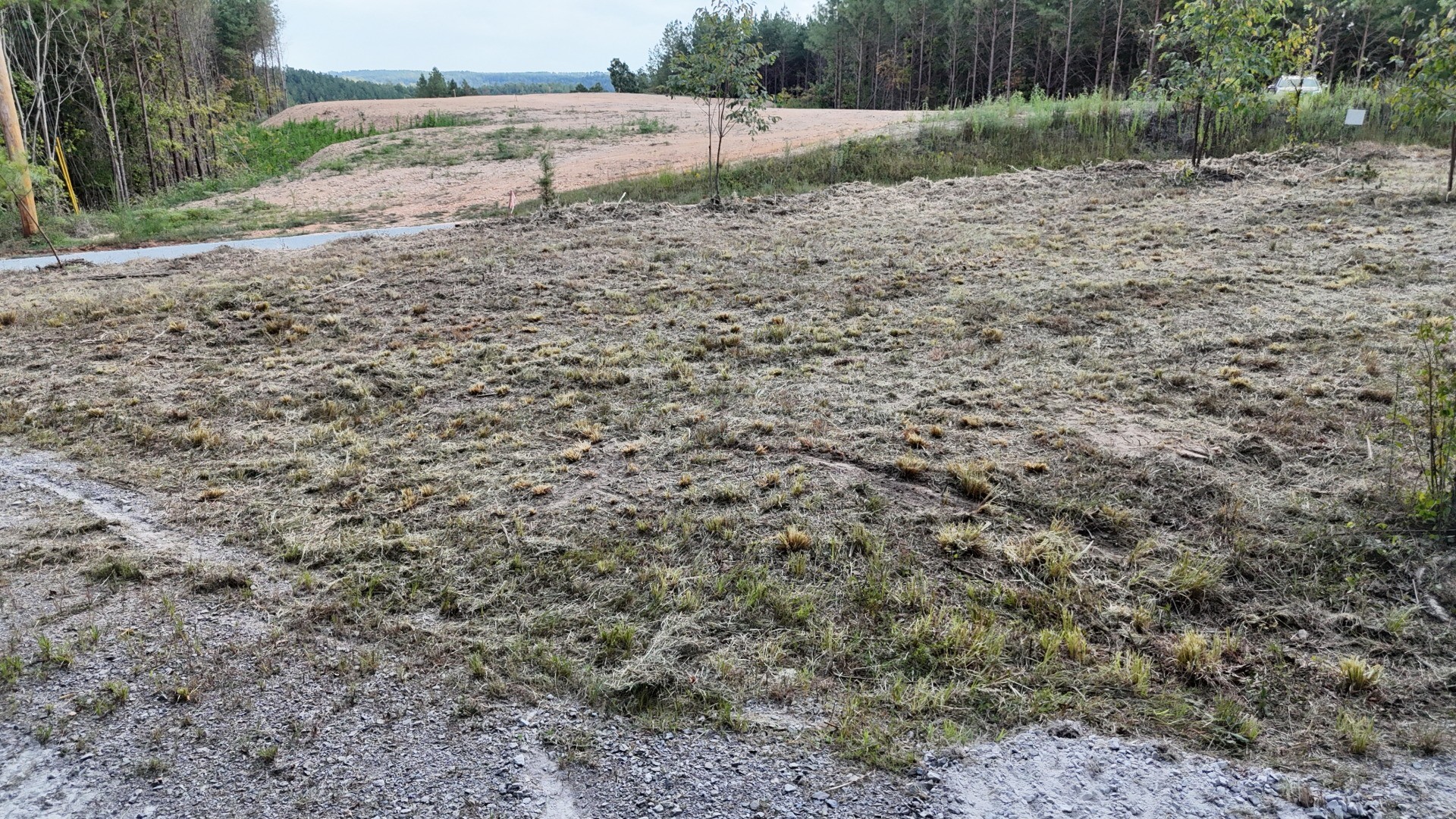 4439 Old Hohenwald Rd