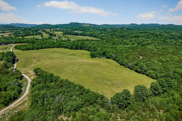 1505 LOWER HELTON RD, ALEXANDRIA, TN 37012 - Image e927b8a94d49d3bd7d6cfd4a67205155/1197646244