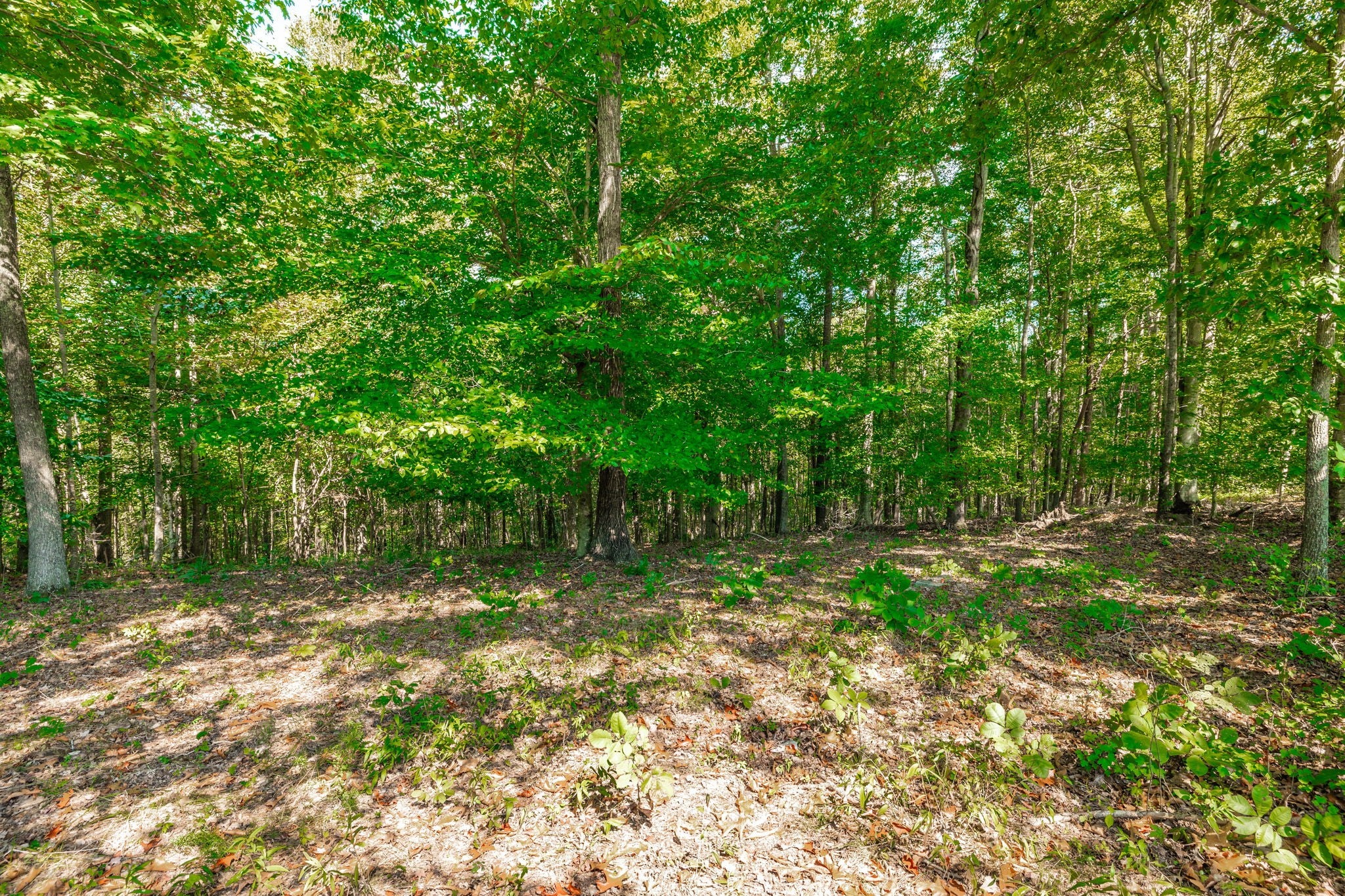0 Spring Hollow Rd