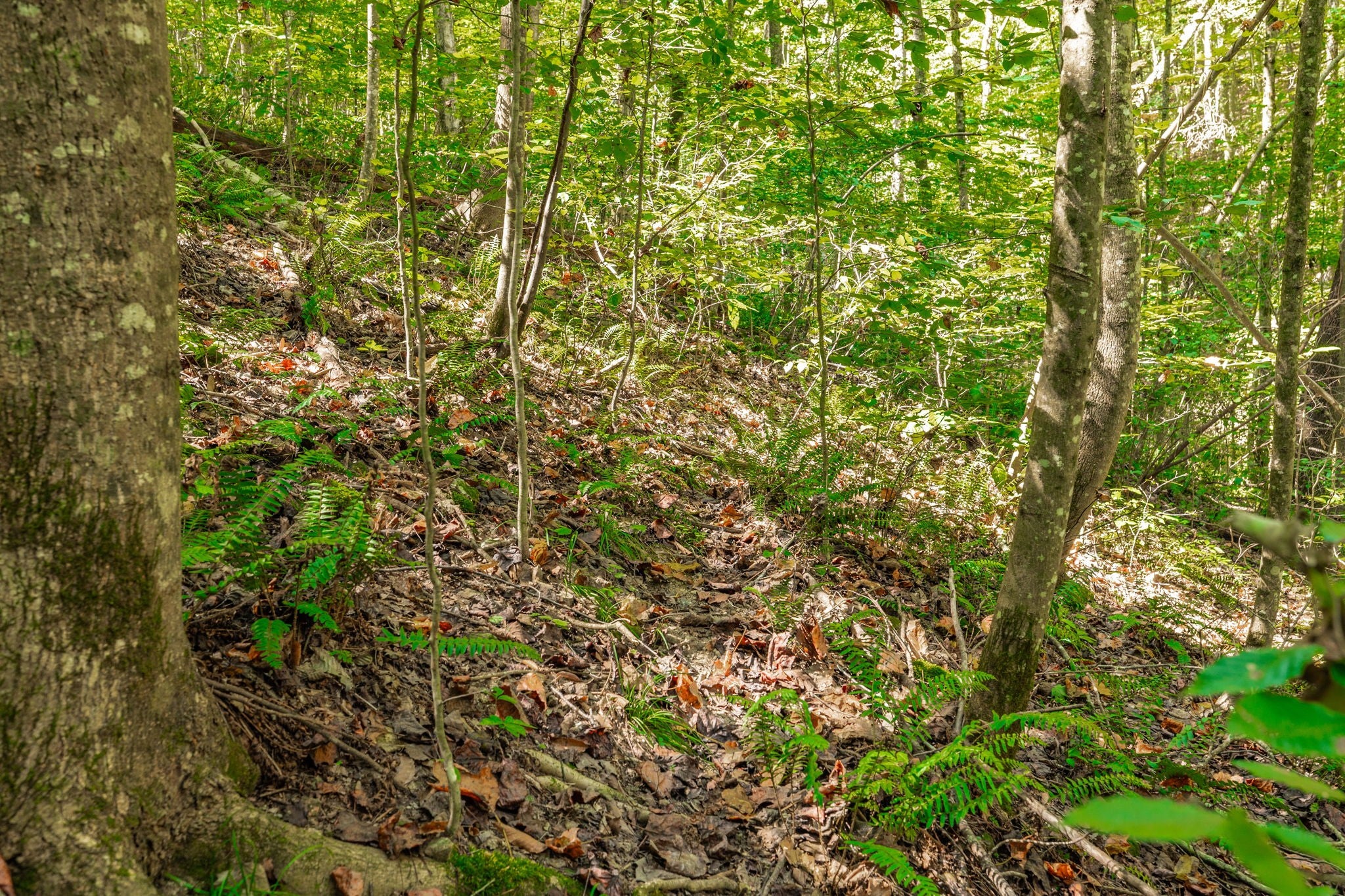 0 Spring Hollow Rd