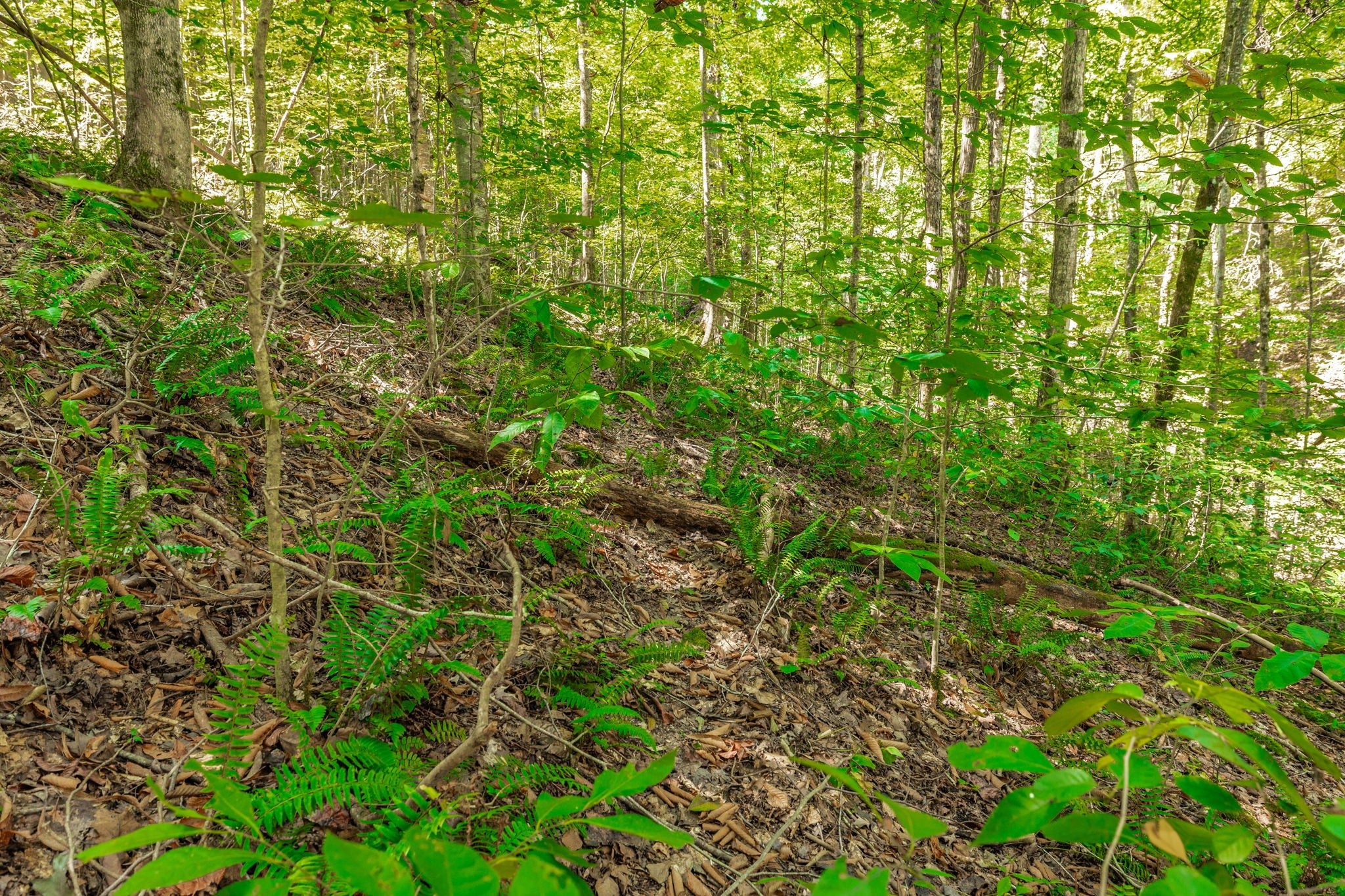 0 Spring Hollow Rd