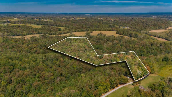 SPRING HOLLOW RD, LAFAYETTE, TN 37083 - Image e92d3cccd9d2e40817d4b71874f964ee/3851311548