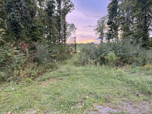802 ARWINE RD, DECATUR, TN 37322 - Image e938cddd1bbd2a2d8485c0830a0ee559/2978476943