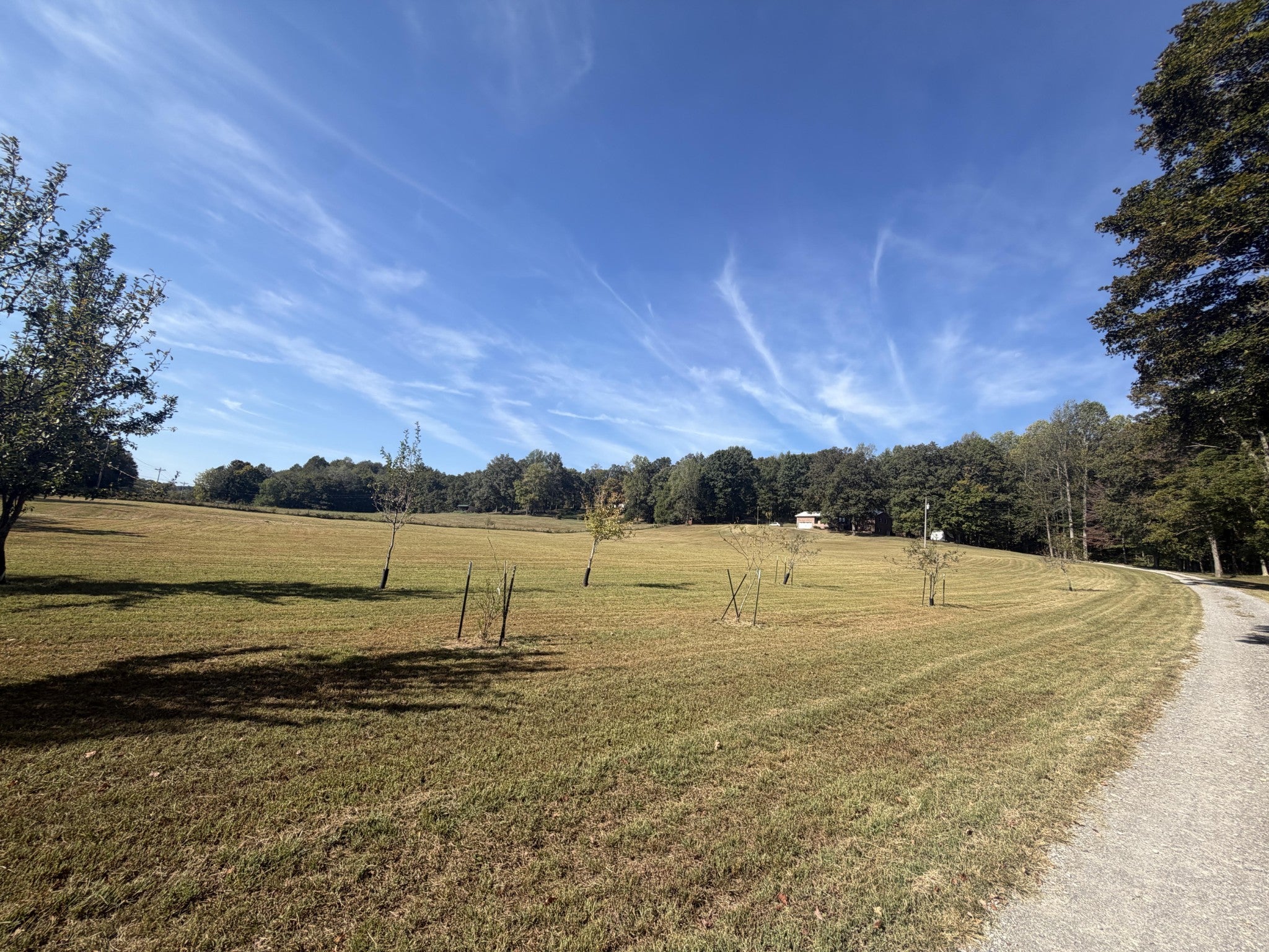 1291 Little Bartons Creek Rd