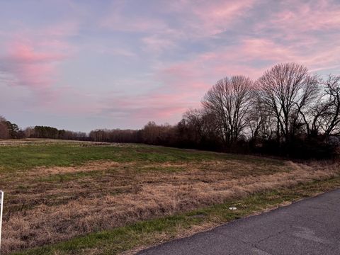 0 Bluff Rd Loretto TN 38469