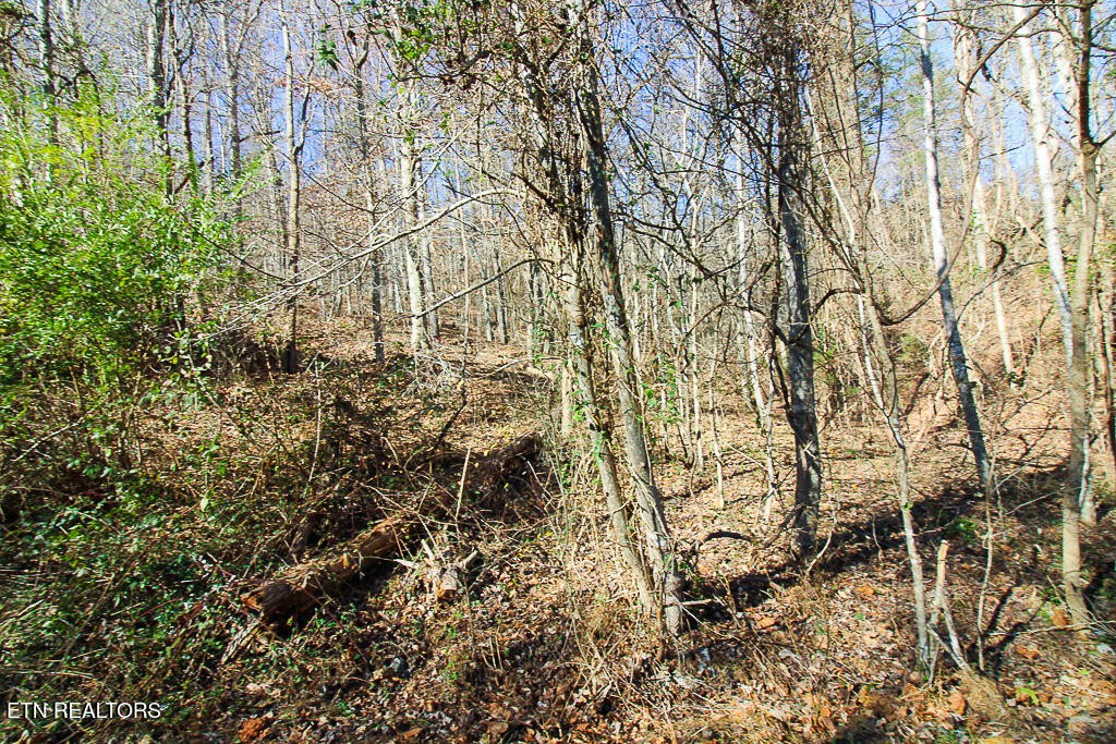 421 Mystic Star Drive